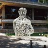 What the failure of a superstar student reveals about economics